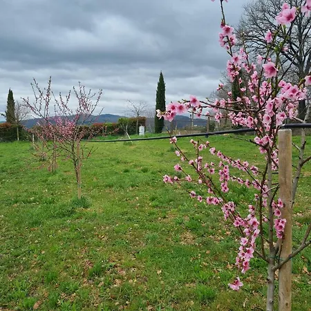 Appartamento La Torre Della Soara *
