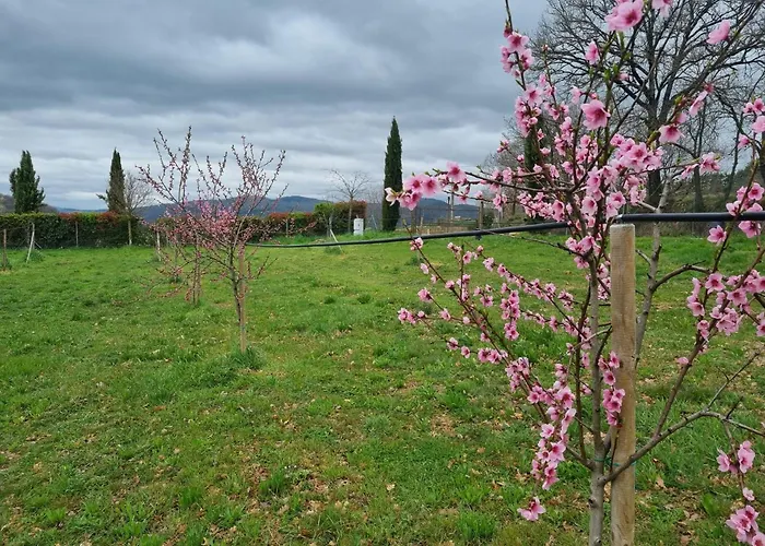 Appartement La Torre Della Soara *